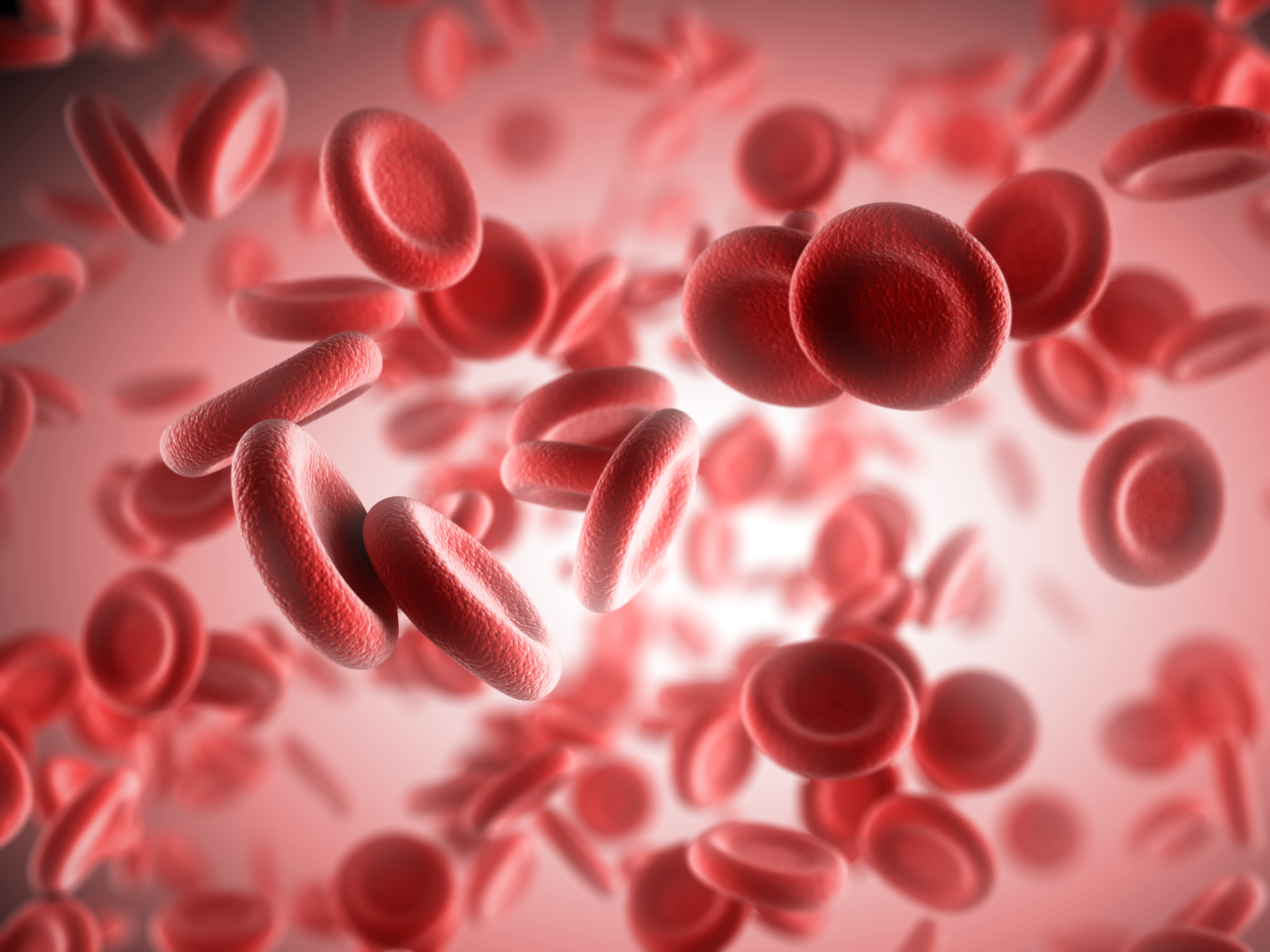Эритроциты - красные кровяные тельца