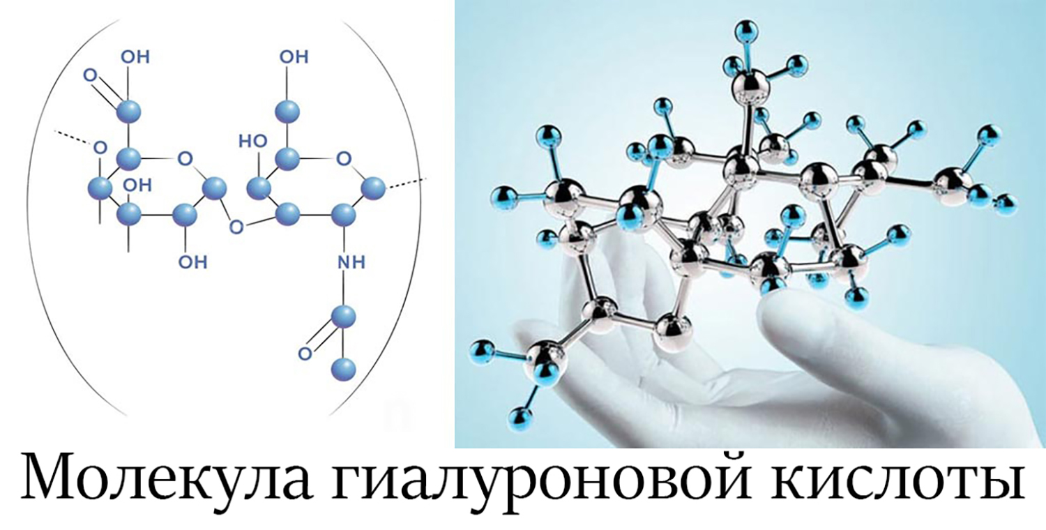 Молекула гиалуроновой кислоты