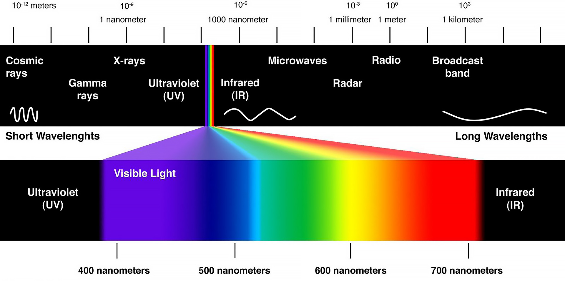 Intensive Pulse Light — от 560 до 1200 нм