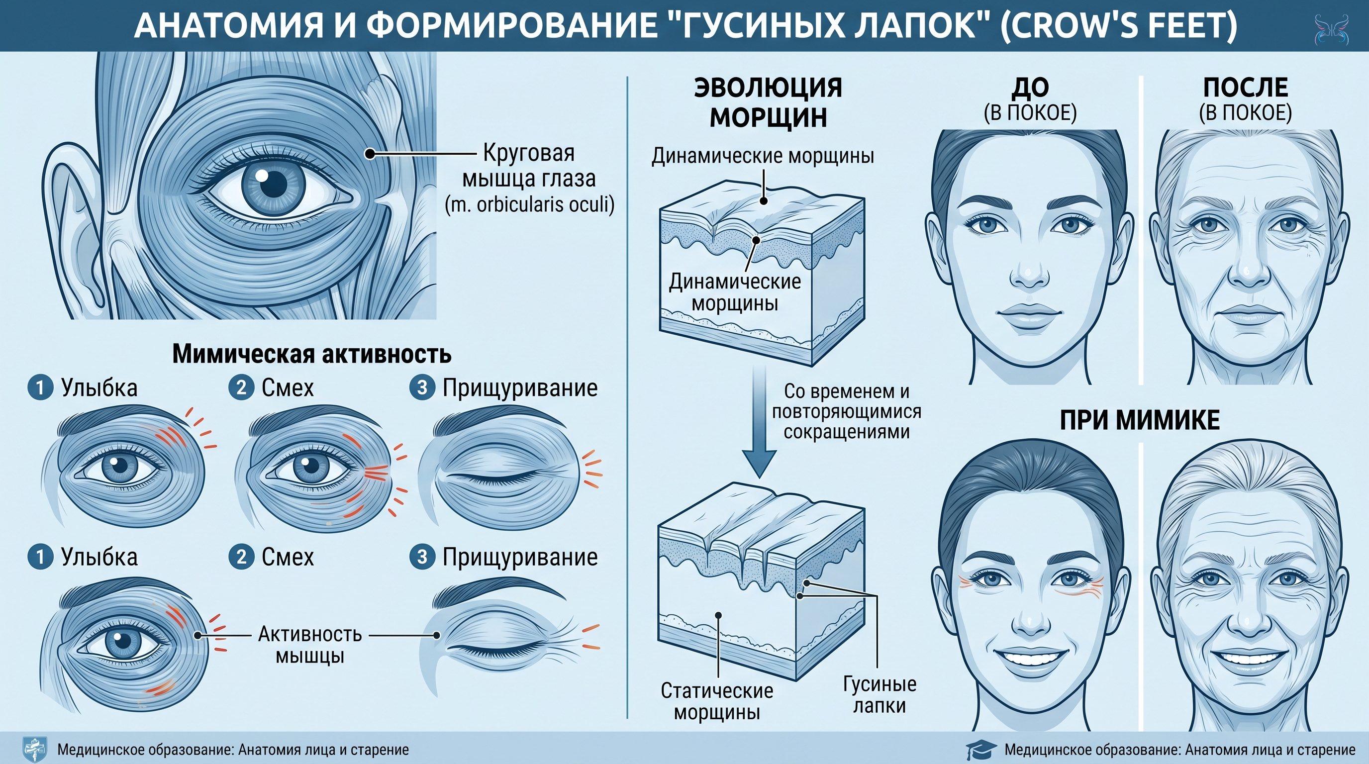 Мимическая активность